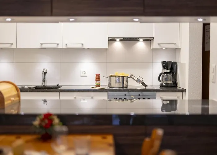 Brentschpark C 96 Appartamento Scuol