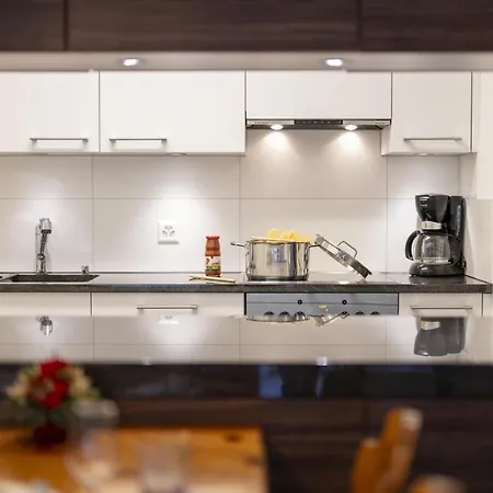 Brentschpark C 96 Apartman Scuol