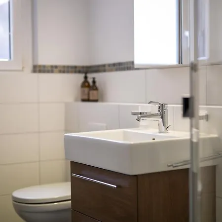 Brentschpark C 96 Apartman Scuol