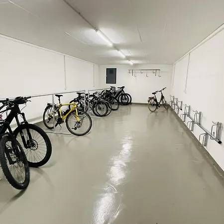 Apartman Brentschpark C 96 Scuol