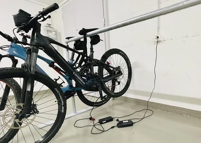 Brentschpark C 96 Daire *